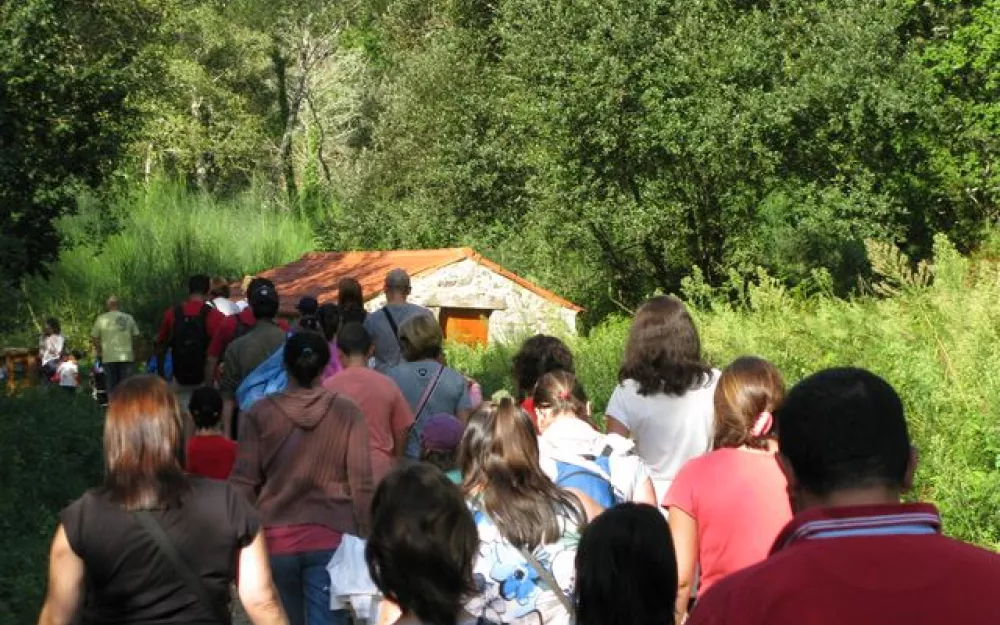 Andaina 2012