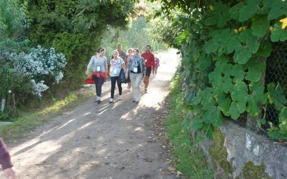 Andaina 2012