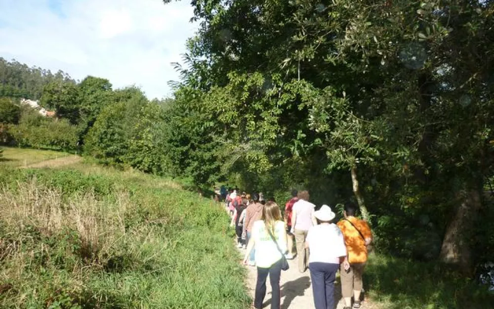 Andaina 2012