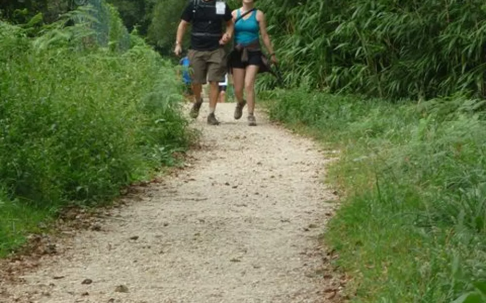 Andaina 2012