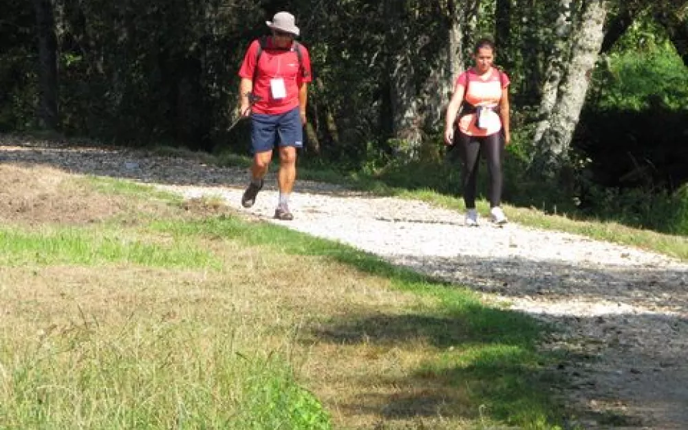 Andaina 2014