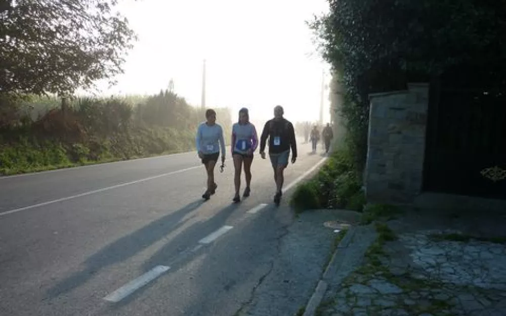 Andaina 2014