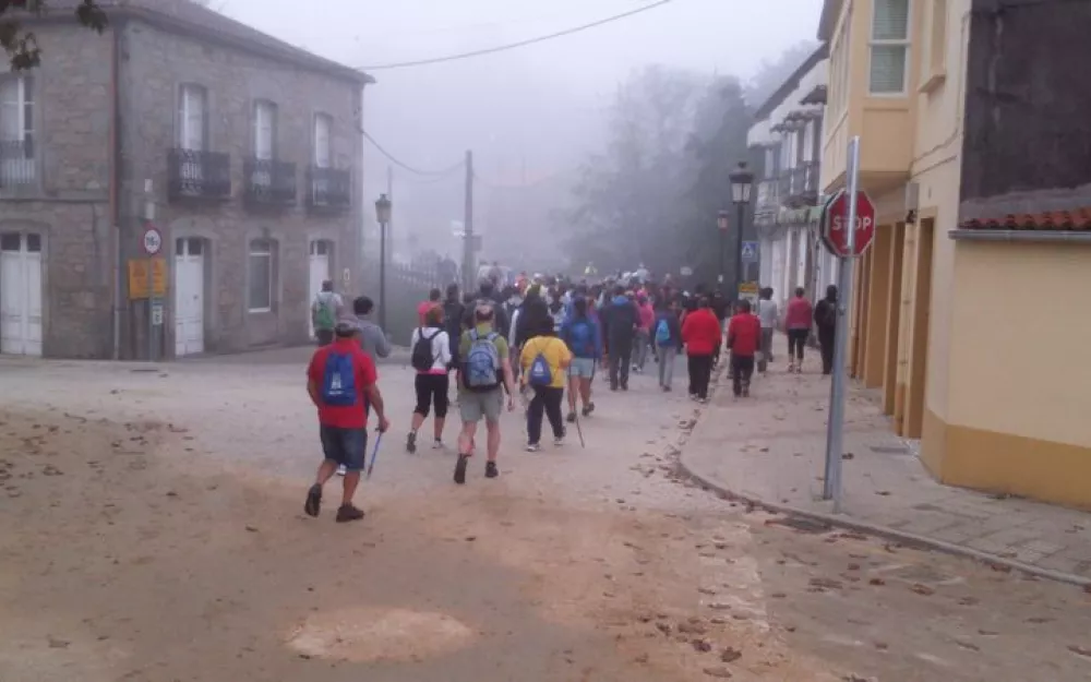 Andaina 2015