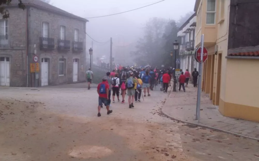 Andaina 2015