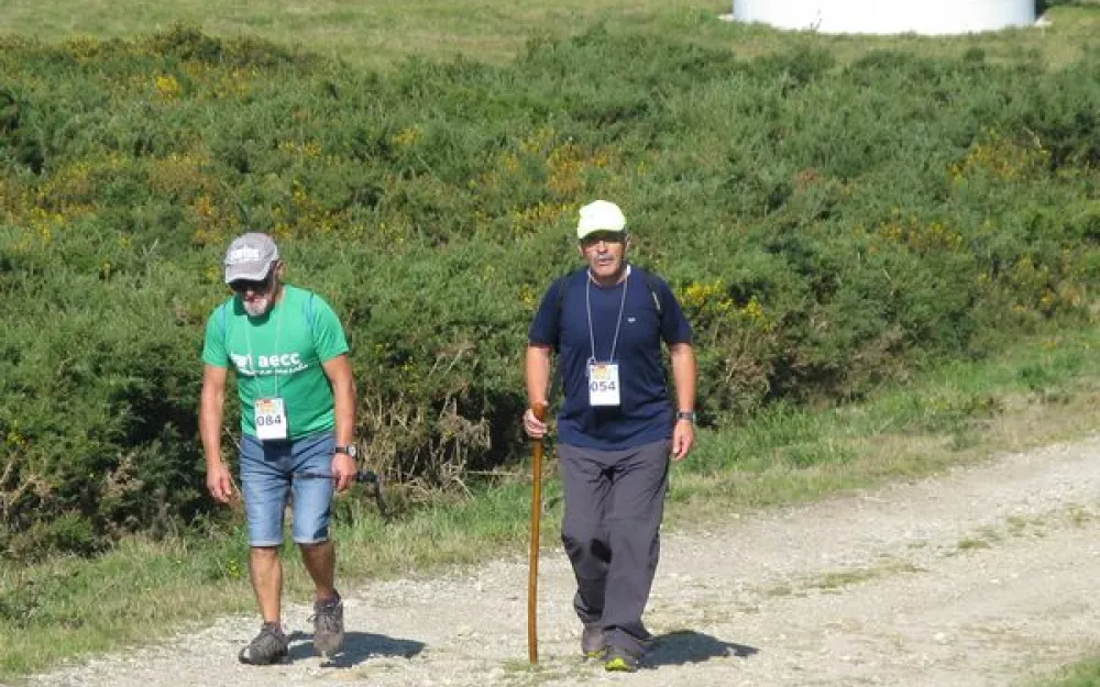 Andaina 2015