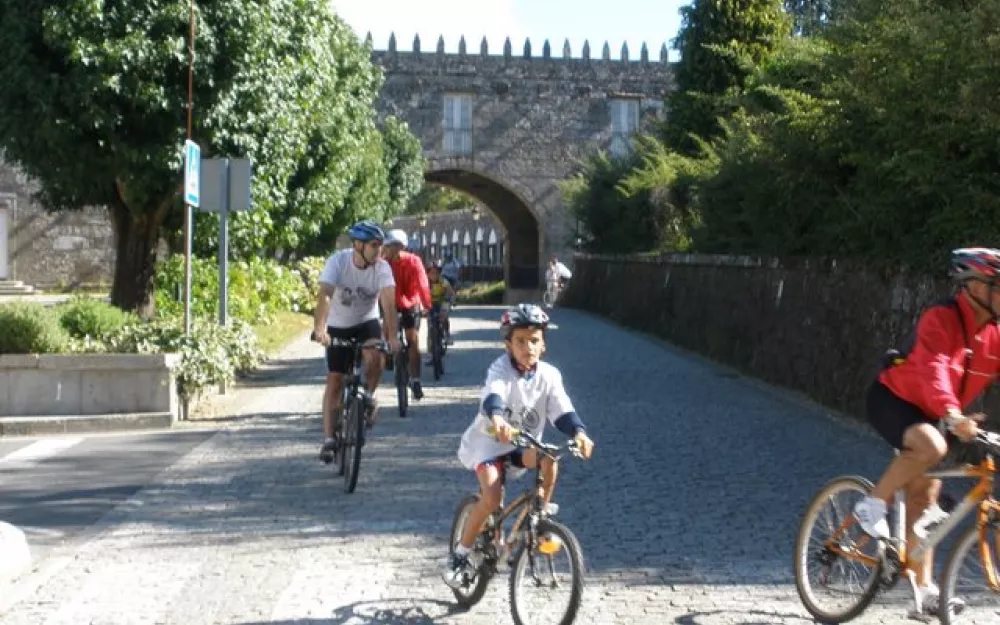 Día da Bicicleta 2010