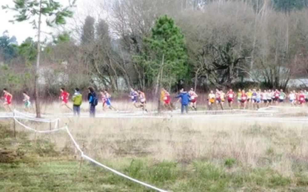 Campionato Galego de campo a través 2014