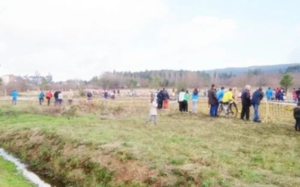 Campionato Galego de campo a través 2014