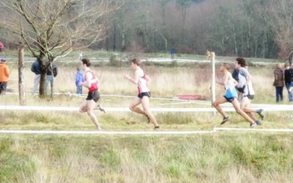 Campionato Galego de campo a través 2014