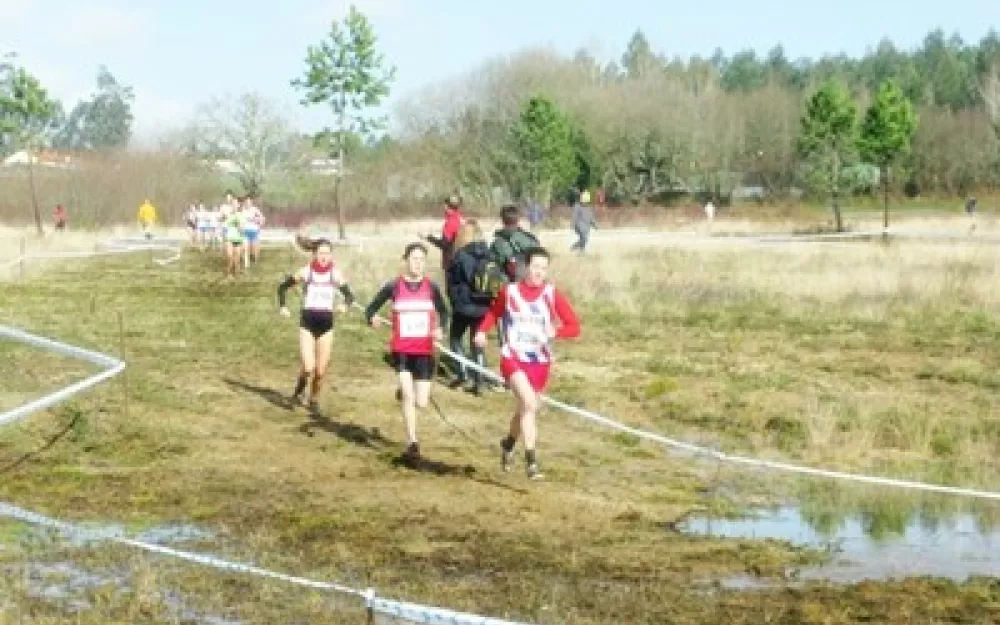 Campionato Galego de campo a través 2014
