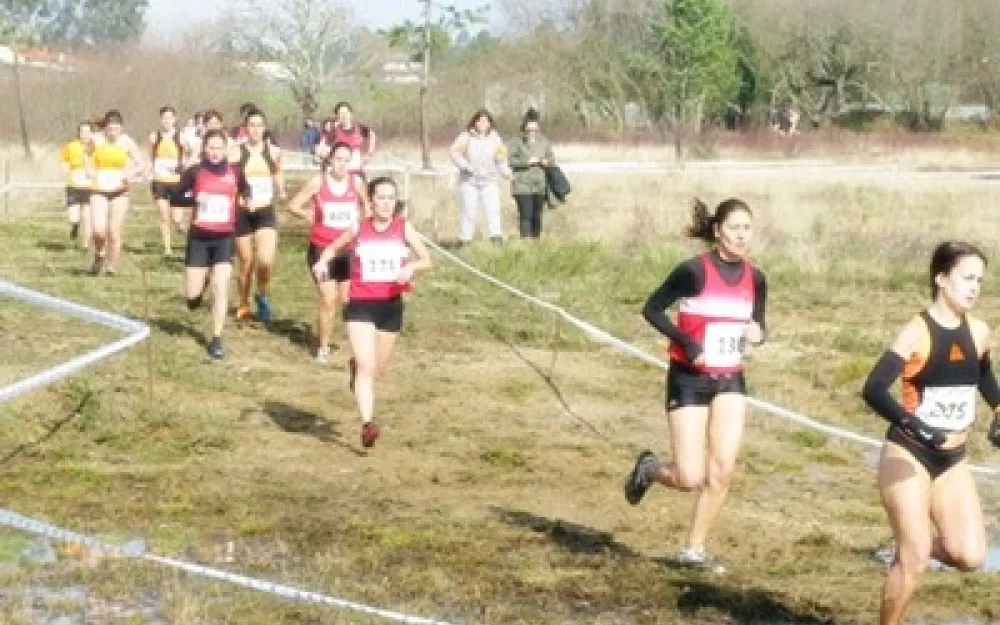 Campionato Galego de campo a través 2014