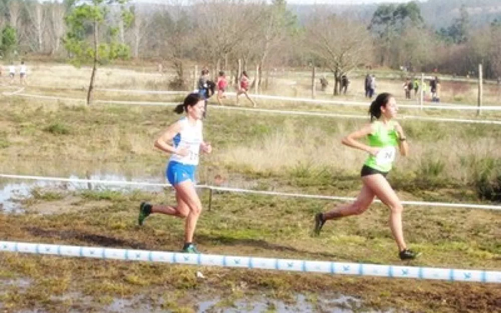 Campionato Galego de campo a través 2014