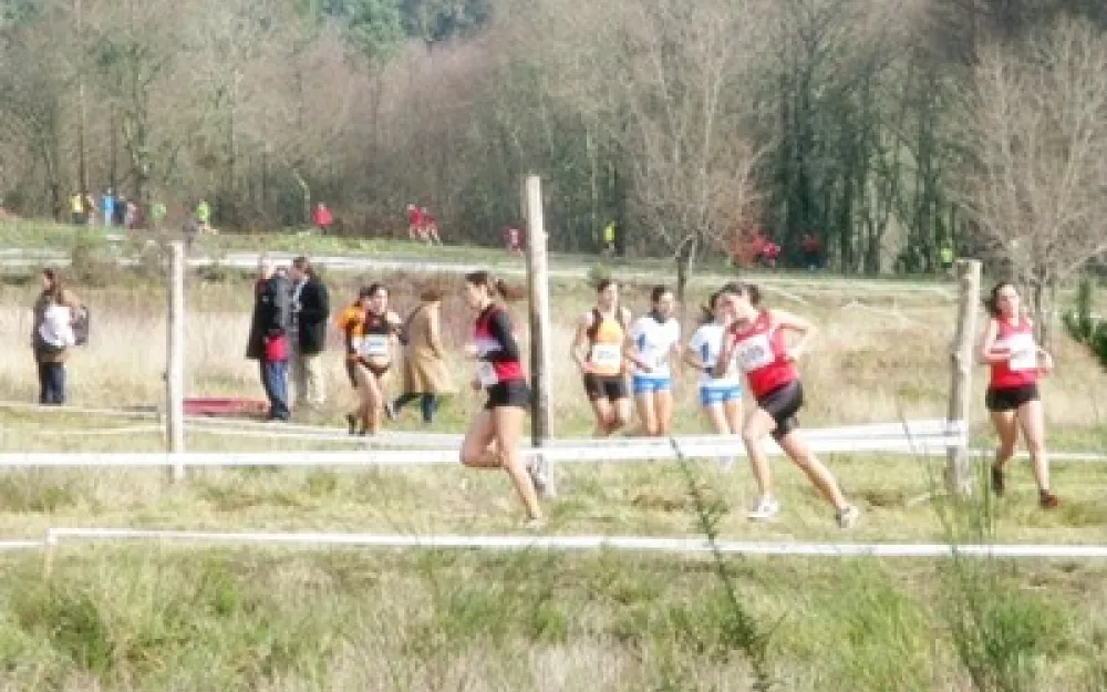 Campionato Galego de campo a través 2014