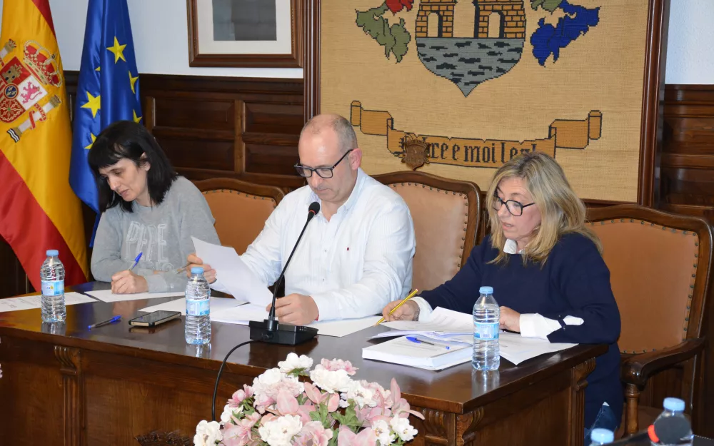 Pleno ordinario