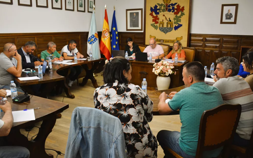 Pleno ordinario de xaneiro