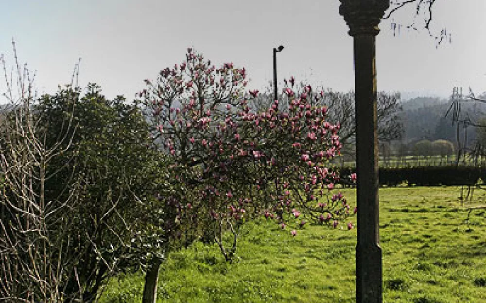 Concello Negreira
