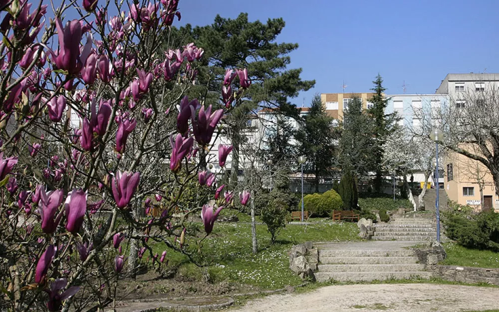 Concello Negreira