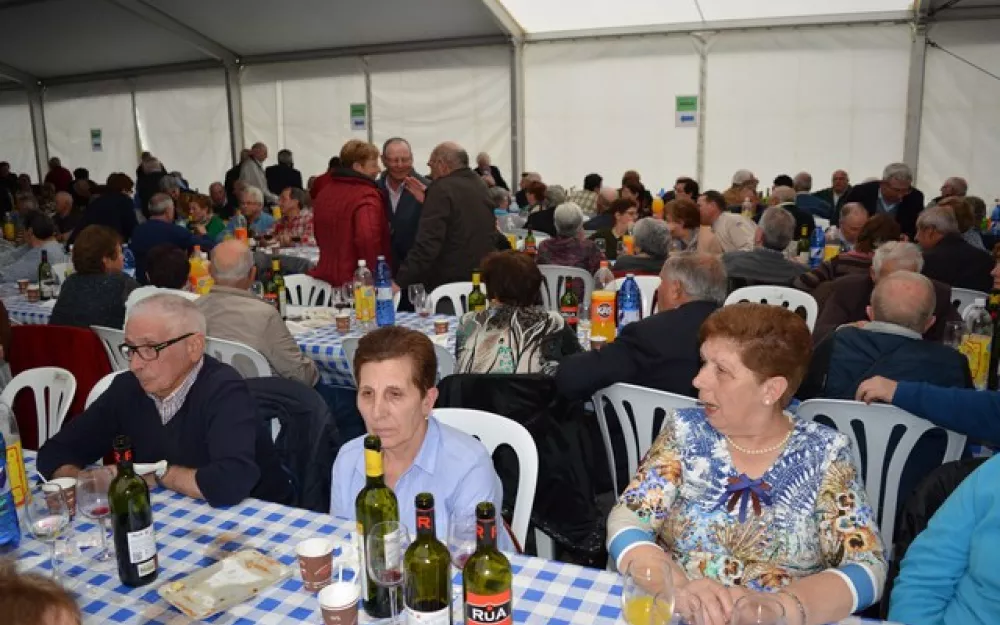 XXI Encontro Maiores
