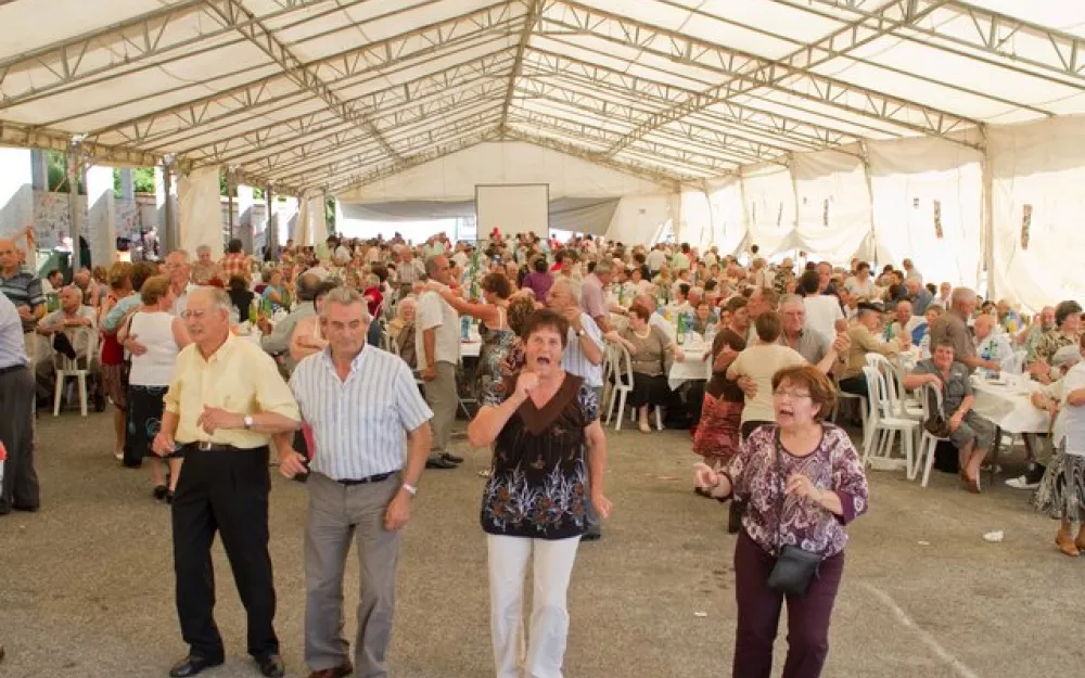 Festa 3ª Idade 2010