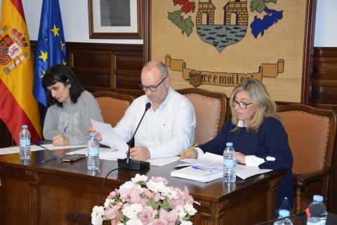 Pleno ordinario
