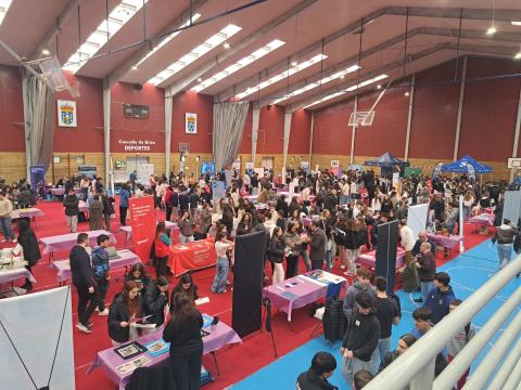 Feira das profesións